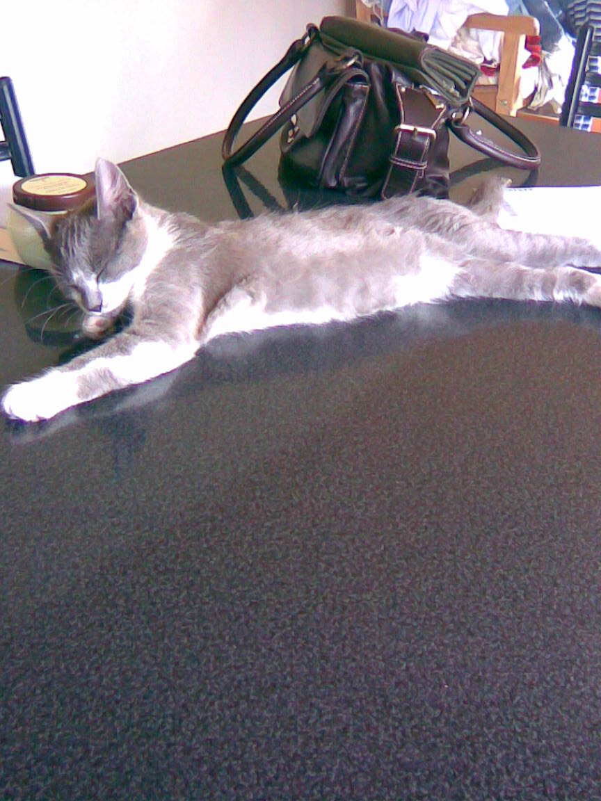 fotos/0000-00-00 - Infancia/Imagen055.jpg